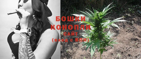 сатива Богданович