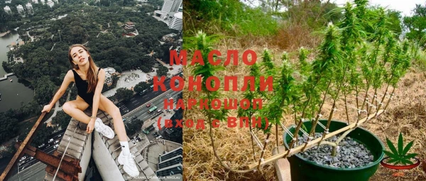 МДПВ Богородск