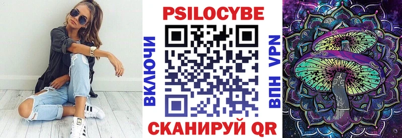 Галлюциногенные грибы Psilocybe  Волоколамск 